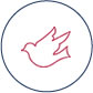 serv-coaching-icon5
